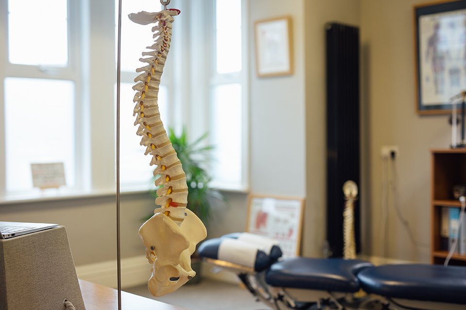 Professional Chiropractic Clinic